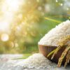 RIce - Image 2
