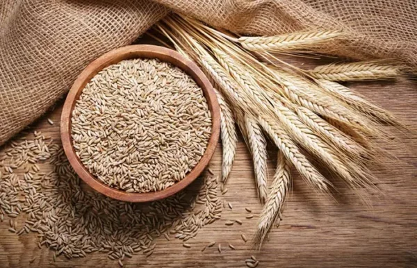 Rye