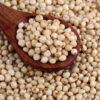 Sorghum - Image 2