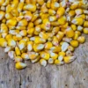 Corn - Image 3